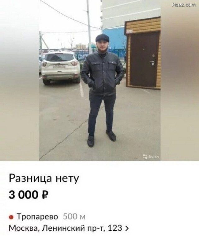 Вот как надо делать объявление на "Авито" Вот как надо делать объявление на "Авито" позитив,смешные картинки,юмор