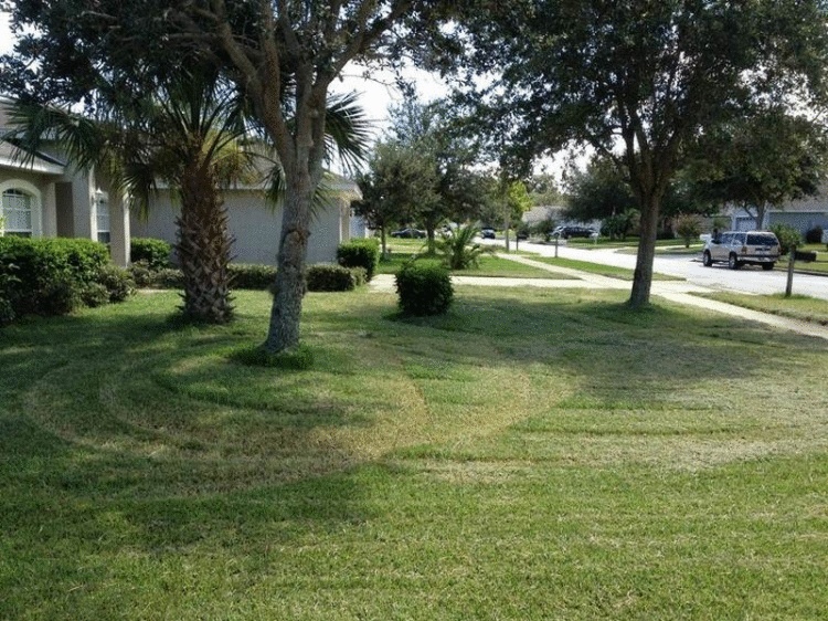 Жизненные примеры настоящей вражды между соседями 