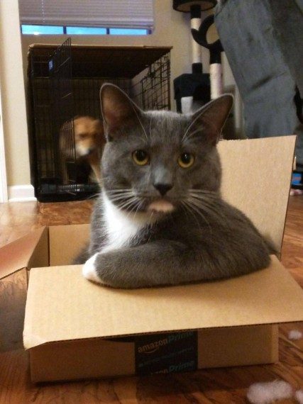 Много позитива! Много позитива!