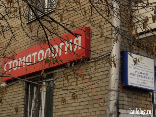 Русские приколы и маразмы