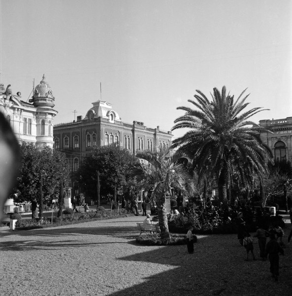 Уютный Сухуми в 1950-х годах (72 фото)