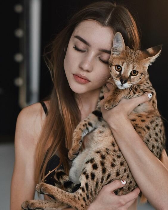 Союз силы и нежности - на это можно смотреть вечно! Союз силы и нежности - на это можно смотреть вечно! фотография