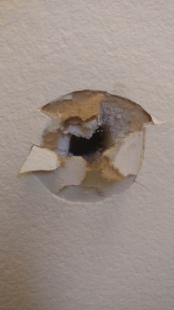 Жизненные примеры настоящей вражды между соседями 