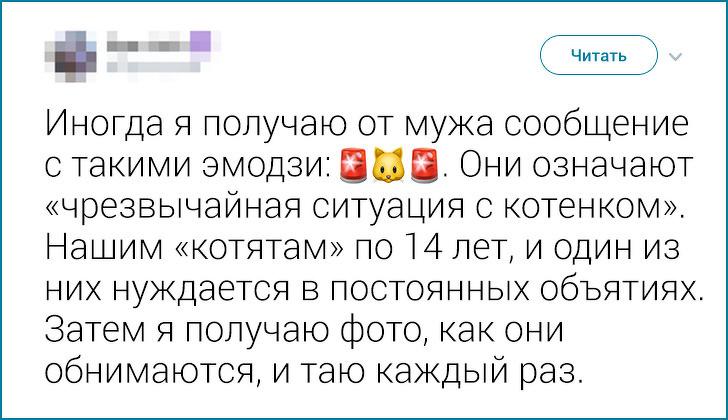 20+ твитов о милых странностях, которые люди подметили у своих близких