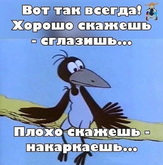 Утро понедельника в животном саду веселые картинки,животные,позитив,Смешные животные