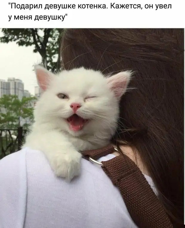 Соседи в одесском дворике: - Соня, ты забеременела или пообедала? Соседи в одесском дворике: - Соня, ты забеременела или пообедала?