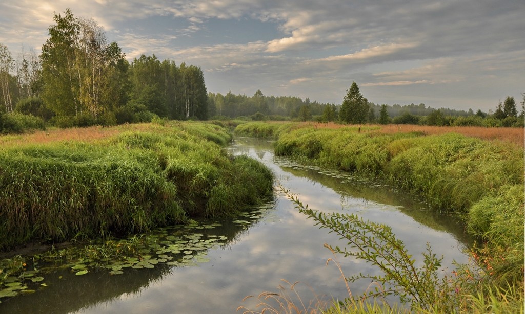 Земля так несравненно хороша! Земля так несравненно хороша! природа