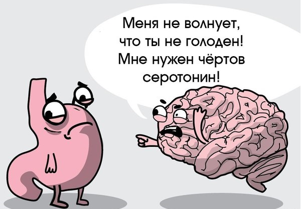 «Невероятно, но факт» или 11 фактов, которые откроют вам глаза на наше пищеварение