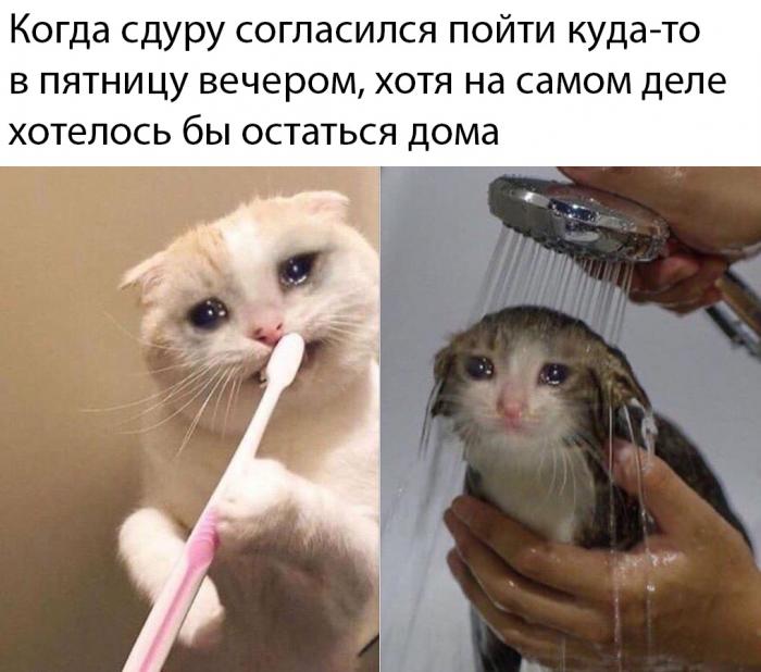 Ржачные картинки и позитивные фото с надписью из сети картинки с надписями,красивые фотографии,приколы,прикольные картинки,угарные фотки,фото приколы,юмор