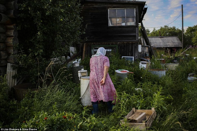 Зоя Тимофеевна и ее муж — последние жители деревни Асорино бомжи и пьяницы, российская глубинка