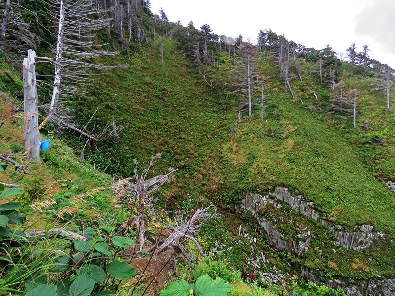 Кунашир: мыс Столбчатый Кунашир: мыс Столбчатый