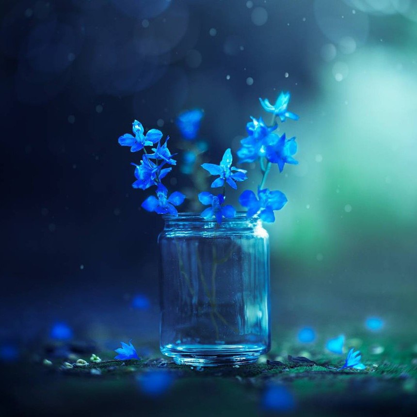 Дo вeсны — 5 днeй. Pacцвeтaйтe ужe 