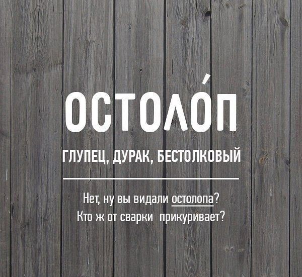 Редкие бранные слова русского языка (20 фото)