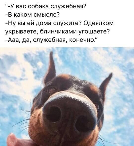 Самое вредное для нервной системы - это медленный интернет Самое вредное для нервной системы - это медленный интернет анекдоты,веселье,демотиваторы,приколы,смех,юмор