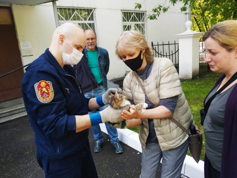На улице Гамалеи спасли застрявшего котёнка