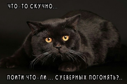 Утро понедельника в животном саду веселые картинки,животные,позитив,Смешные животные