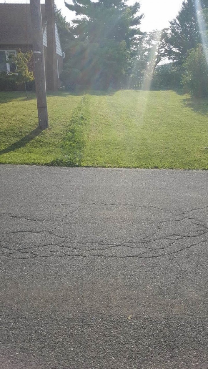 Жизненные примеры настоящей вражды между соседями