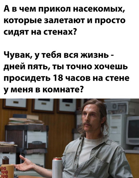 Забавных зверьков вам в ленту! Забавных зверьков вам в ленту!