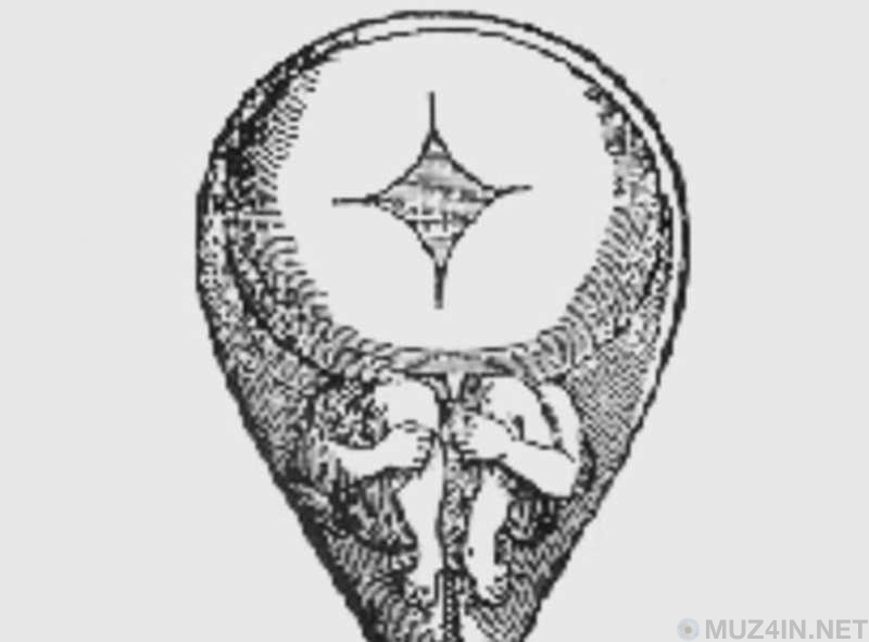 Безумные научные теории, которые раньше принимались за правду Безумные научные теории, которые раньше принимались за правду