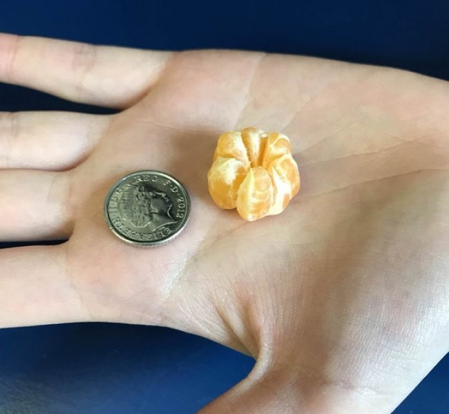 «Чистил апельсин и нашел в нем мини-апельсин» необычное, прикол, фото