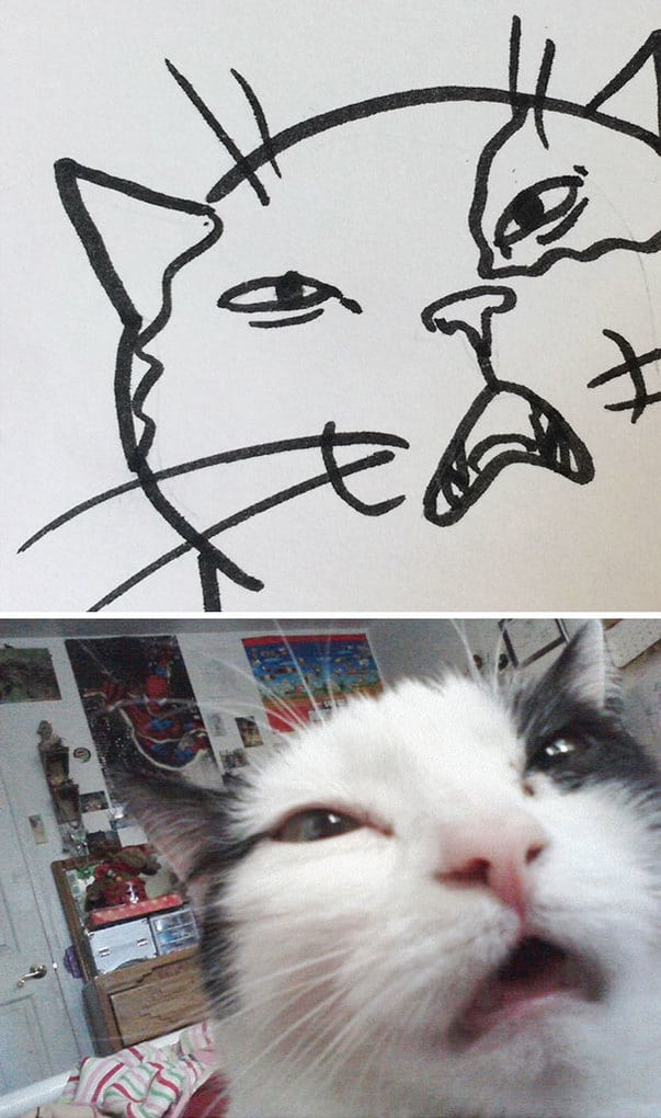 Poorly Drawn Cat