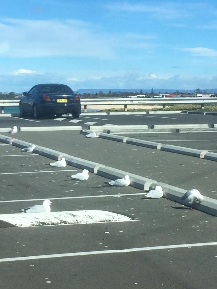 25 странных и абсурдных вещей, которые способны заставить нас усомниться в реальности 25 странных и абсурдных вещей, которые способны заставить нас усомниться в реальности