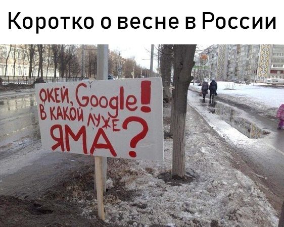 Весенние приколы. Классная ржака! смешные картинки