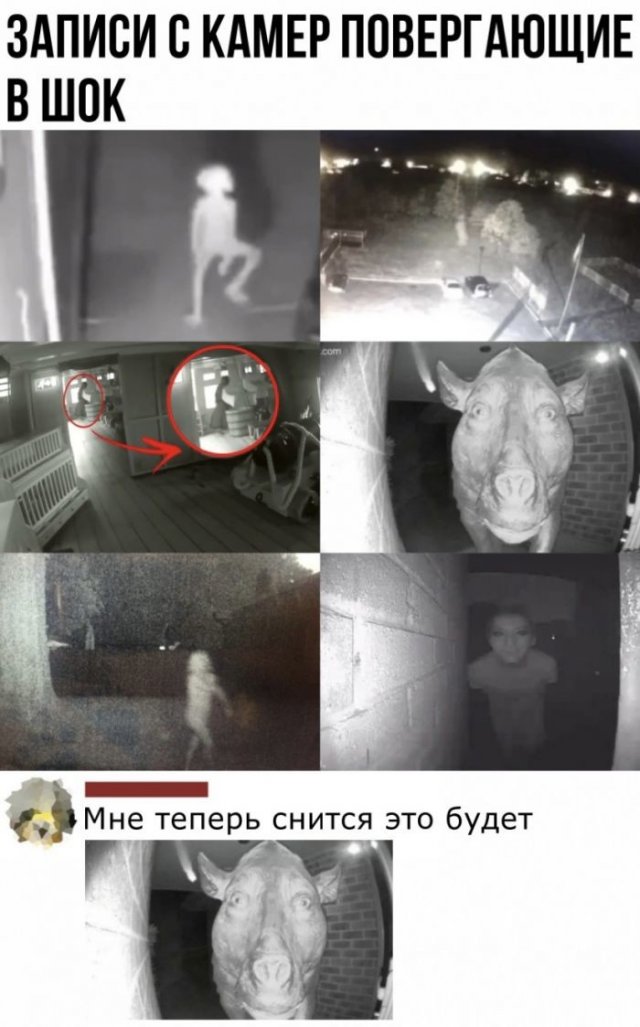 Смешные комментарии к постам в социальных сетях Смешные комментарии к постам в социальных сетях смешные картинки,фото-приколы,юмор