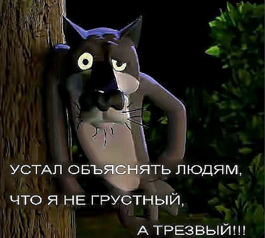 Утро понедельника в животном саду веселые картинки,животные,позитив,Смешные животные