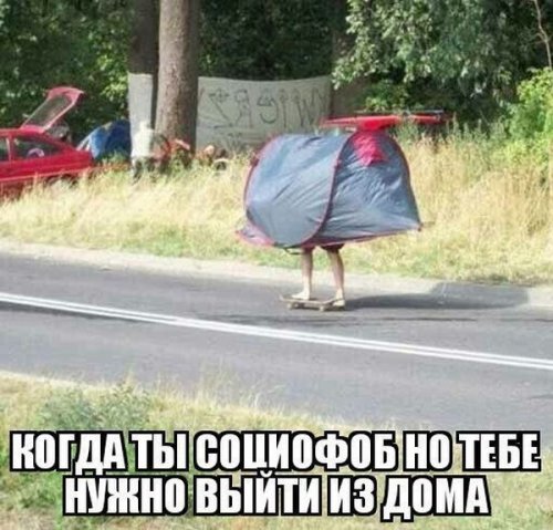 Прикольные картинки дня (50 шт)