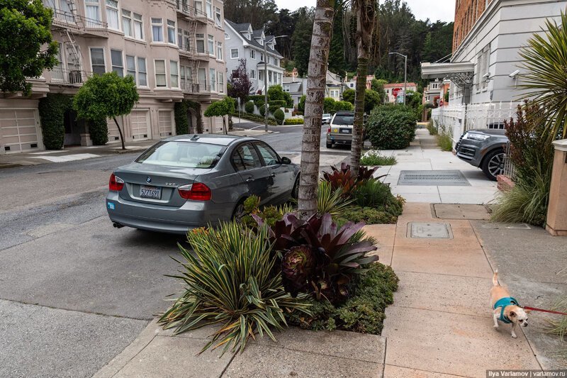 Как американцы проектируют улицы Как американцы проектируют улицы