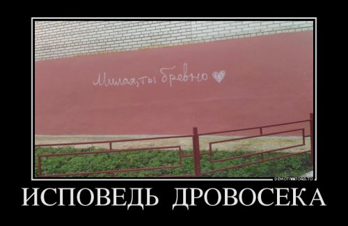 Свежие демотиваторы-приколы (13 шт)