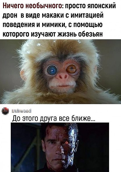 Свежий юмор для прекрасного настроения Свежий юмор для прекрасного настроения