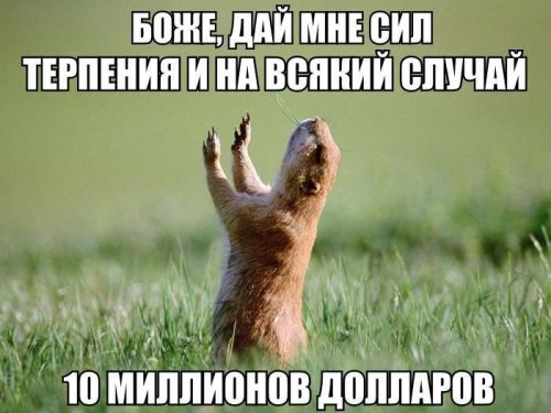 Прикольные картинки скрасят понедельник (40 шт)