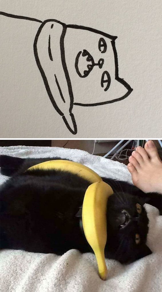 Poorly Drawn Cat