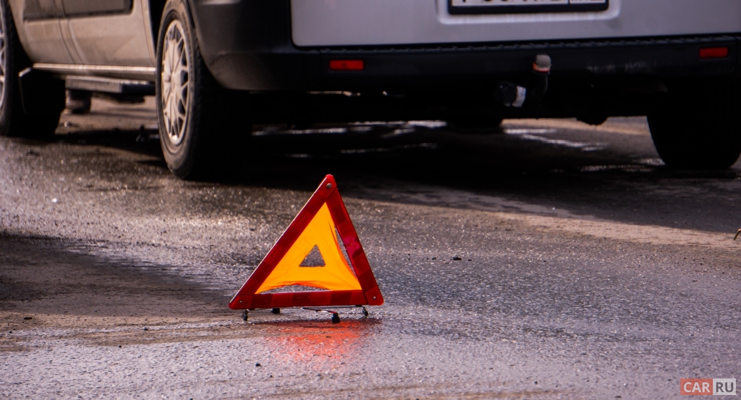 За каких сбитых животных положен штраф?