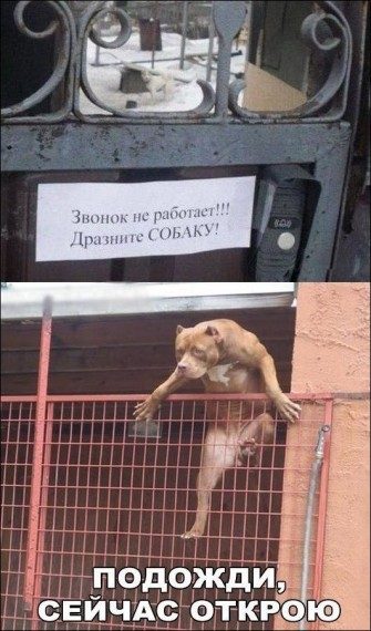 Смешные картинки и приколы Смешные картинки и приколы