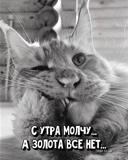 Подборка смешных картинок из интернета 