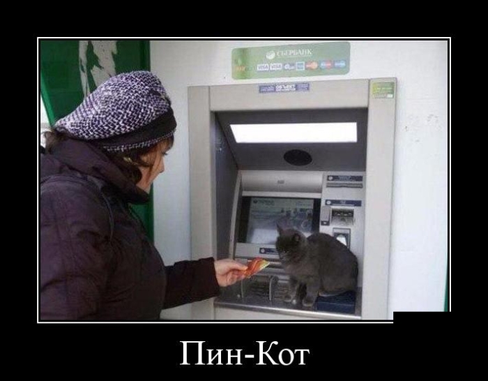 Демотиваторы (30 фото)