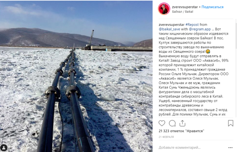 Сергей Зверев надел корону и устроил одиночный пикет наши звезды