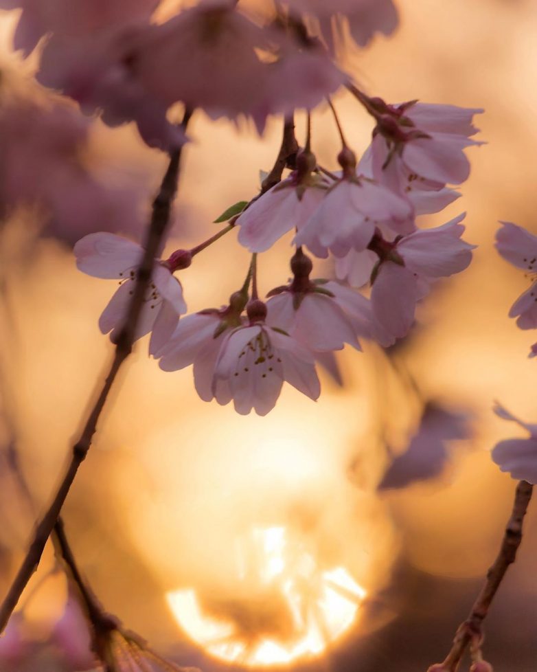 Пейзажи со всего мира, от которых не оторвать глаз Пейзажи со всего мира, от которых не оторвать глаз