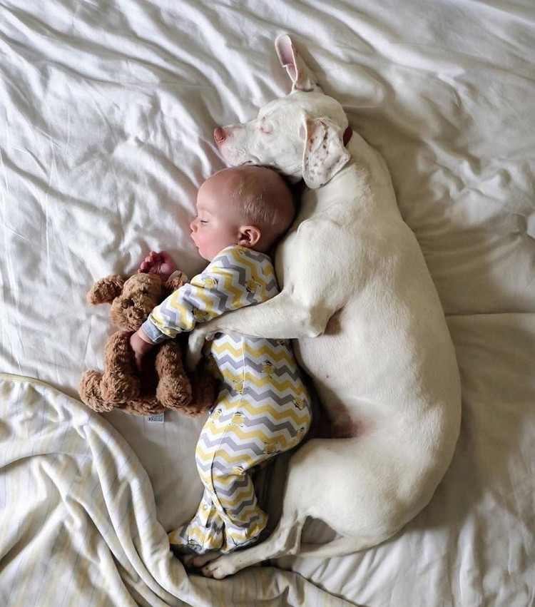 15 историй спасения животных, которые выражают настолько искреннюю благодарность своим спасителям, что даже самое чёрствое сердце растает 15 историй спасения животных, которые выражают настолько искреннюю благодарность своим спасителям, что даже самое чёрствое сердце растает