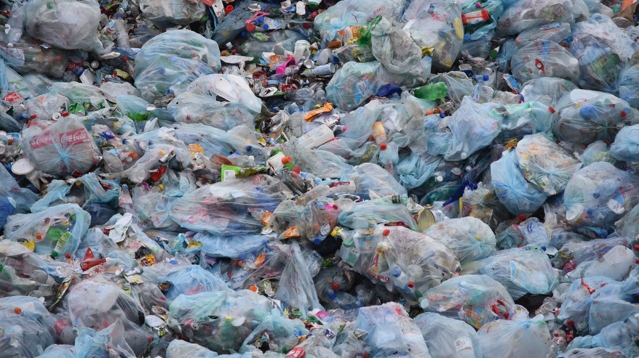 В Госдуме предложили отбирать транспорт за выброс мусора в неположенном месте Общество