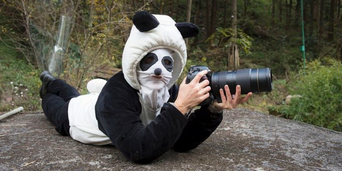 Фотоподборка вторника Фотоподборка вторника