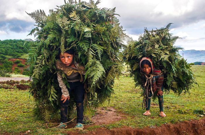 Heavy Load By Chunshui Yu (Honorable Mention In Fascinating Faces And Characters Category)