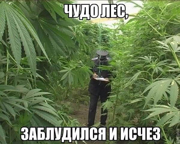 Смешные картинки с надписями прикол, юмор