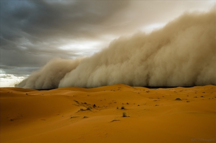 Сахара засыпает все песком и делает жизнь невыносимой: как остановить пустыню