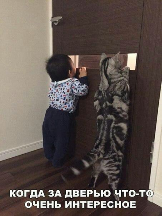 Утро понедельника в животном саду веселые картинки,животные,позитив,Смешные животные