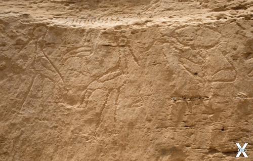 Додинастическая надпись из Египта. Фото: Alberto Urcia, Elkab Desert Survey Project / Archaeology