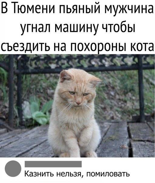 Пусть он ходит везде с тобой, там поймешь, кто такой..) веселые картинки